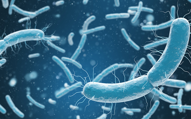 blog Wist je dat bacterien leven van onzichtbaar vuil
